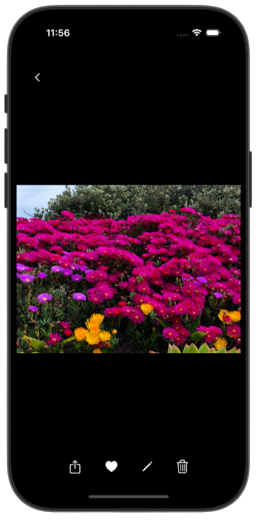 Single image in fullscreen view
