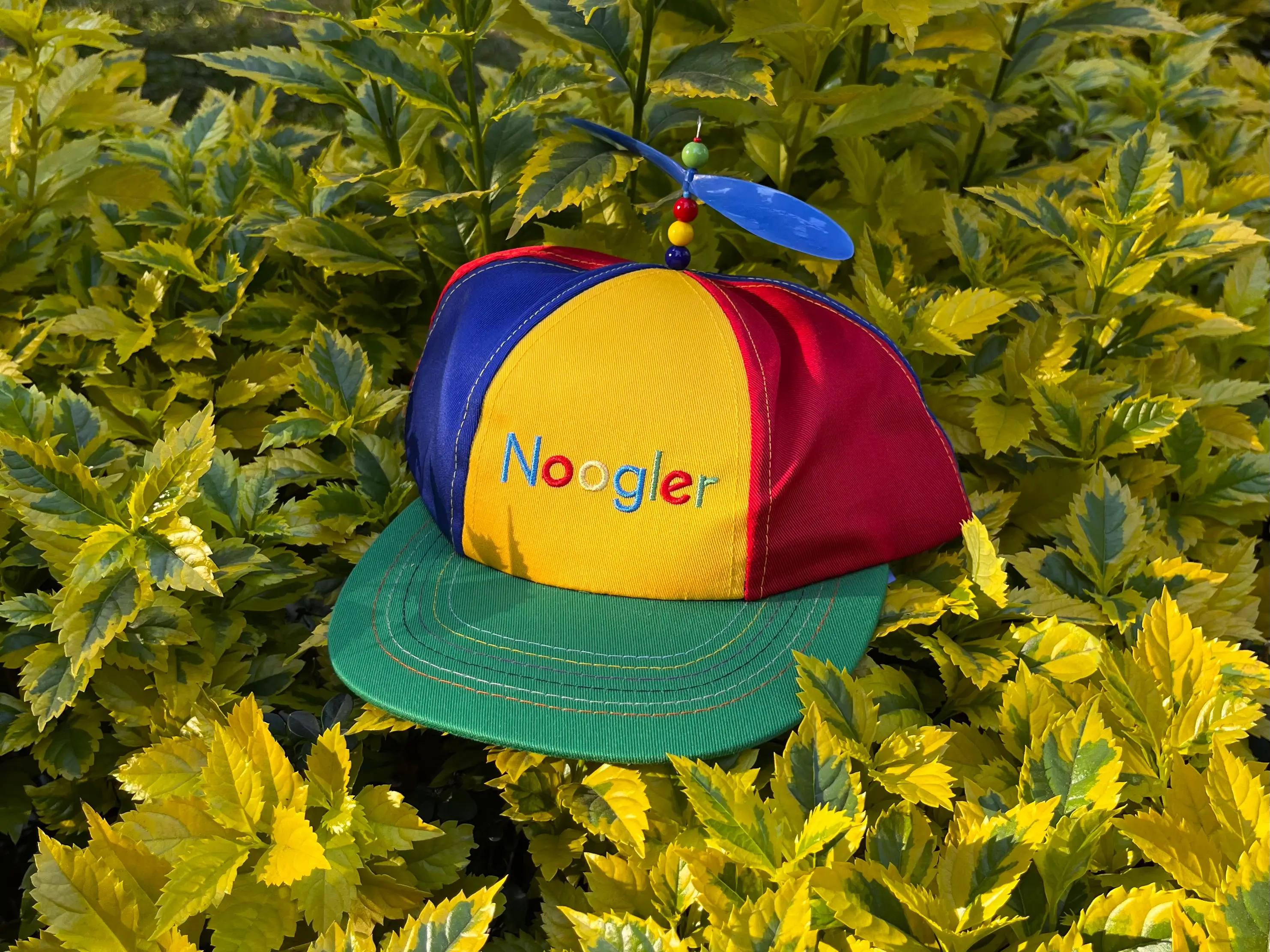 CDMX, January 12, 4:41 PM